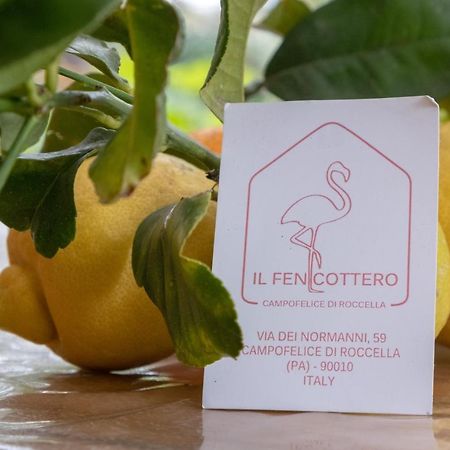 Il Fenicottero Guest House Campofelice Di Roccella Kültér fotó