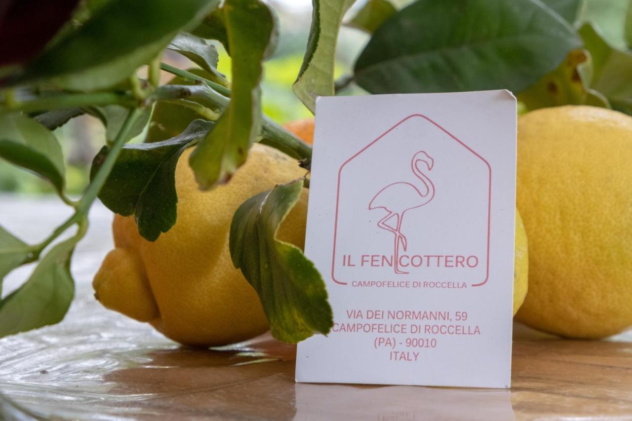 Il Fenicottero Guest House Campofelice Di Roccella Kültér fotó